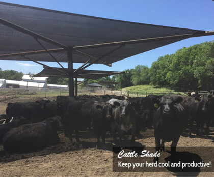 34x34 Cattle Shade